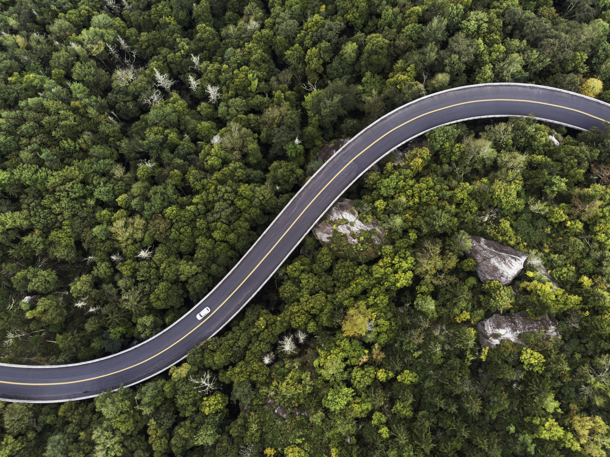 Aerial View of a road winding through a forest Arial view of road winding through forest.